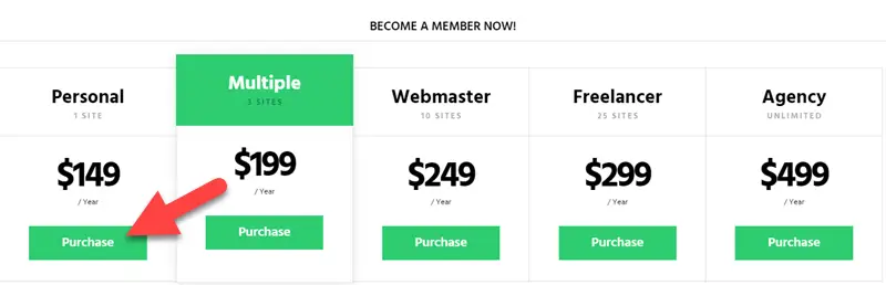 AMPforWP Pricing